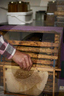 ‘I could be a bee in a hive’: the real-life Beekeeper of Aleppo on life in Yorkshire. Ryad Alsous, whose story helped inspire the bestselling book, says life is sweet caring for his hives in Huddersfield.