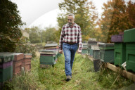 ‘I could be a bee in a hive’: the real-life Beekeeper of Aleppo on life in Yorkshire. Ryad Alsous, whose story helped inspire the bestselling book, says life is sweet caring for his hives in Huddersfield.
