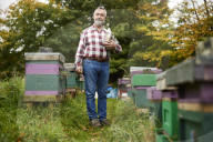 ‘I could be a bee in a hive’: the real-life Beekeeper of Aleppo on life in Yorkshire. Ryad Alsous, whose story helped inspire the bestselling book, says life is sweet caring for his hives in Huddersfield.