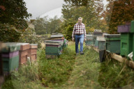‘I could be a bee in a hive’: the real-life Beekeeper of Aleppo on life in Yorkshire. Ryad Alsous, whose story helped inspire the bestselling book, says life is sweet caring for his hives in Huddersfield.