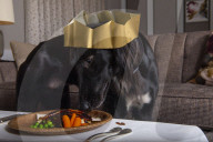 A dog is for life —so show yours a good Christmas!