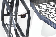 SPORT - FINA-Qualifikation im Turmspringen in Abu Dhabi