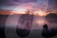 FEATURE -  Wintermorgen im Richmond Park, London
