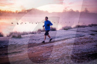FEATURE -  Wintermorgen im Richmond Park, London