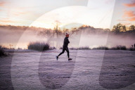 FEATURE -  Wintermorgen im Richmond Park, London