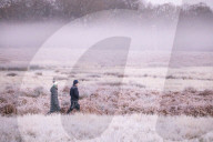 FEATURE -  Wintermorgen im Richmond Park, London