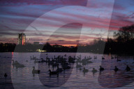 Sunrise in Hyde Park today