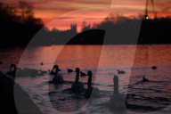 Sunrise in Hyde Park today