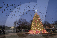 NEWS - Der nationale Weihnachtsbaum  vor dem Weissen Haus in Washington
