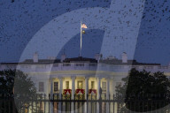NEWS - Der nationale Weihnachtsbaum  vor dem Weissen Haus in Washington