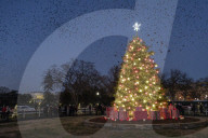 NEWS - Der nationale Weihnachtsbaum  vor dem Weissen Haus in Washington