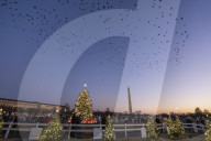 NEWS - Der nationale Weihnachtsbaum  vor dem Weissen Haus in Washington