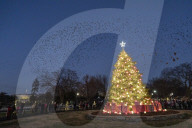 NEWS - Der nationale Weihnachtsbaum  vor dem Weissen Haus in Washington