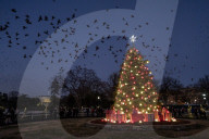 NEWS - Der nationale Weihnachtsbaum  vor dem Weissen Haus in Washington