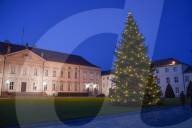 NEWS - Weihnachtsansprache des deutschen Bundespräsidenten