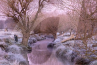 Frosty winter scenes London