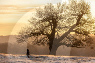 Frosty winter scenes London