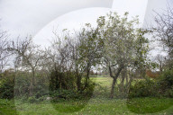 Journalist Katie Glass who has downsized to a caravan in Midsomer Norton,  Gloucestershire. 
