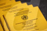 NEWS - Coronavirus: Impfpässe Symbolfoto