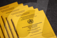 NEWS - Coronavirus: Impfpässe Symbolfoto