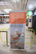 Victoria Station Closed to Southern Trains today and untill 10th January. 