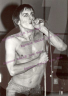 Iggy Pop