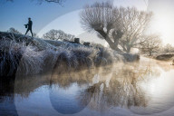 FEATURE -  Wintermorgen im Richmond Park, London