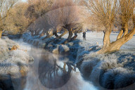 FEATURE -  Wintermorgen im Richmond Park, London