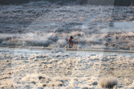FEATURE -  Wintermorgen im Richmond Park, London