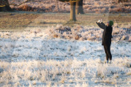 FEATURE -  Wintermorgen im Richmond Park, London