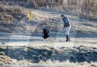 FEATURE -  Wintermorgen im Richmond Park, London