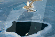 Beluga Whales And Seals Near Tokarevsky Lighthouse