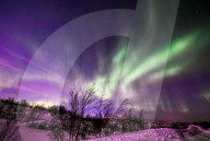 Northern Lights - Russia