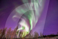 Northern Lights - Russia