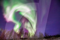 Northern Lights - Russia