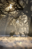 Freezing weather continues