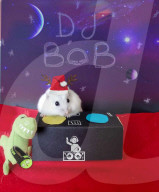 FEATURE - Hamster Bob wird bei Halterin Keti Kraja zum Fotomodel 