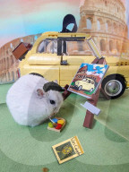 FEATURE - Hamster Bob wird bei Halterin Keti Kraja zum Fotomodel 