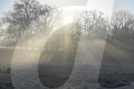 Foggy start to the day in Hyde Park