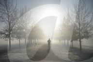 Foggy start to the day in Hyde Park