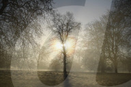 Foggy start to the day in Hyde Park