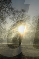 Foggy start to the day in Hyde Park