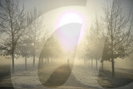 Foggy start to the day in Hyde Park