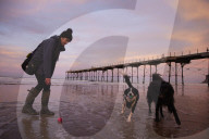 Warning as hundreds of dogs fall sick after beach walks on Yorkshire coast