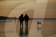 Warning as hundreds of dogs fall sick after beach walks on Yorkshire coast