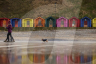 Warning as hundreds of dogs fall sick after beach walks on Yorkshire coast