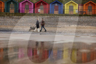 Warning as hundreds of dogs fall sick after beach walks on Yorkshire coast