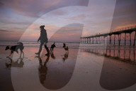 Warning as hundreds of dogs fall sick after beach walks on Yorkshire coast