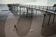 Warning as hundreds of dogs fall sick after beach walks on Yorkshire coast