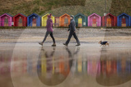 Warning as hundreds of dogs fall sick after beach walks on Yorkshire coast